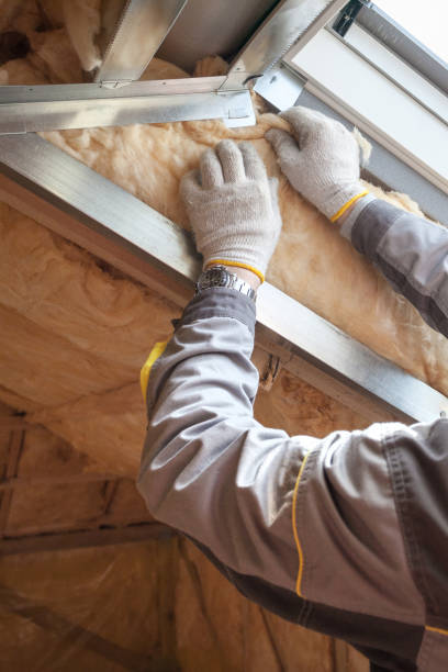 Best Wall Insulation Contractor  in Rochester, MI