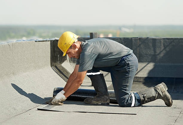 Best Attic Insulation Installation  in Rochester, MI